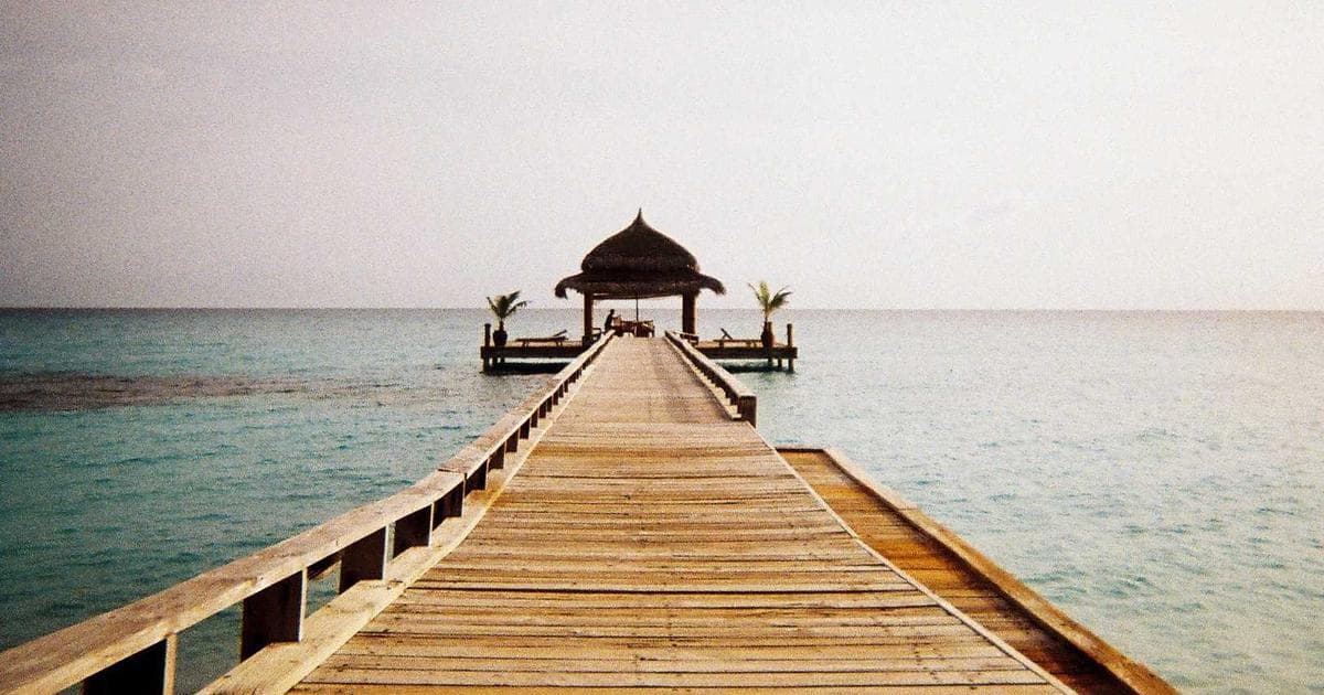 0050 vs 006208 市值型 ETF 深度比較：長期投資該選哪一支？