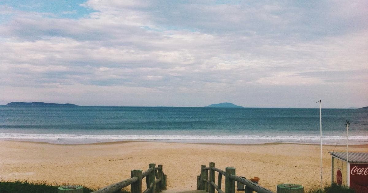 00919 群益台灣精選高息 ETF 完整分析：2026 配息、成分股與投資策略