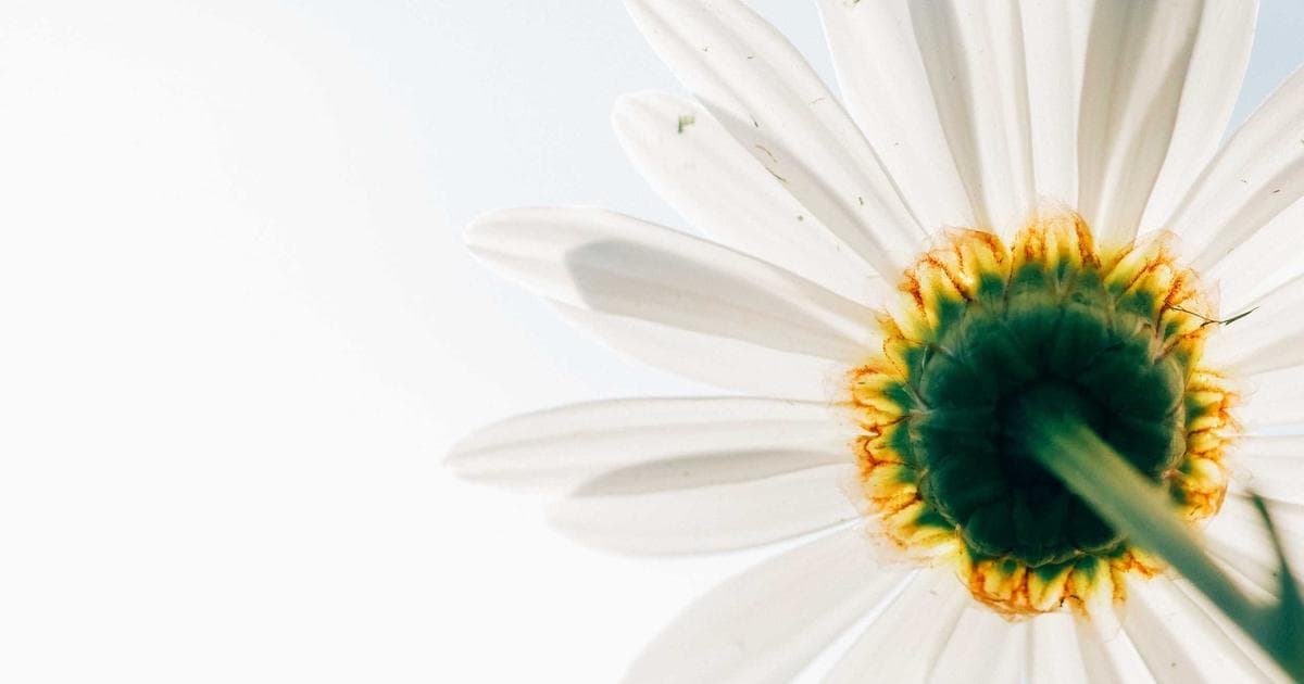 A2UI 完全指南：2026 年 AI Agent 動態生成介面的設計思維與實作策略