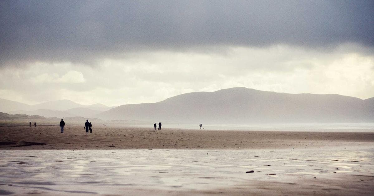 After Effects 資訊圖表動畫教學：從數據視覺化到 MG 動態影片完整流程