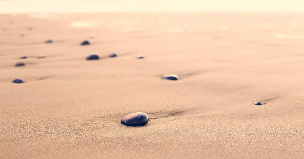 Blender 3D 動畫入門教學：從零開始學建模基礎與動畫製作