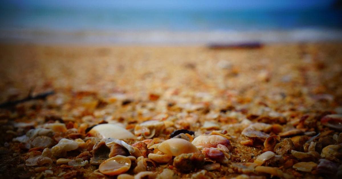 品牌識別設計手冊完整教學：從零打造專業 Brand Guidelines 的系統化方法