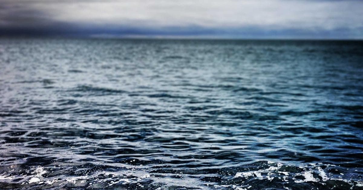 Cavalry 程式驅動動畫入門教學：用節點系統打造生成式動態設計