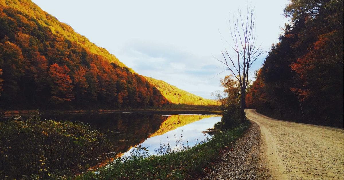 Clip Studio Paint vs Procreate 完整比較：2026 數位繪圖軟體到底該選哪個？