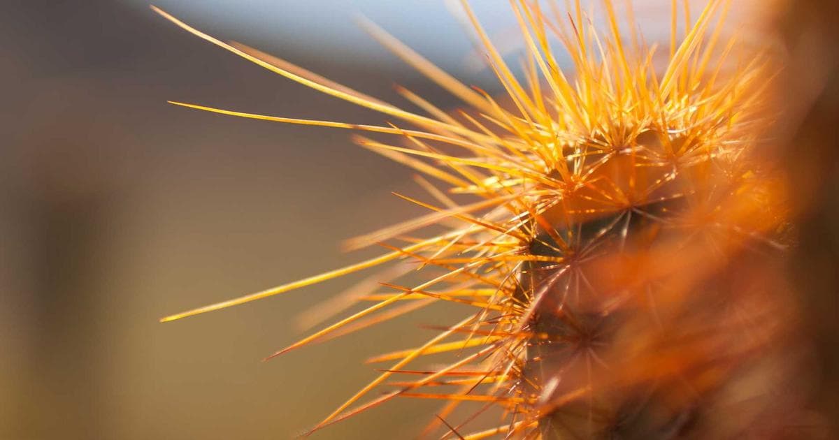 Cloudflare Workers 邊緣運算入門：Serverless 後端開發實戰教學