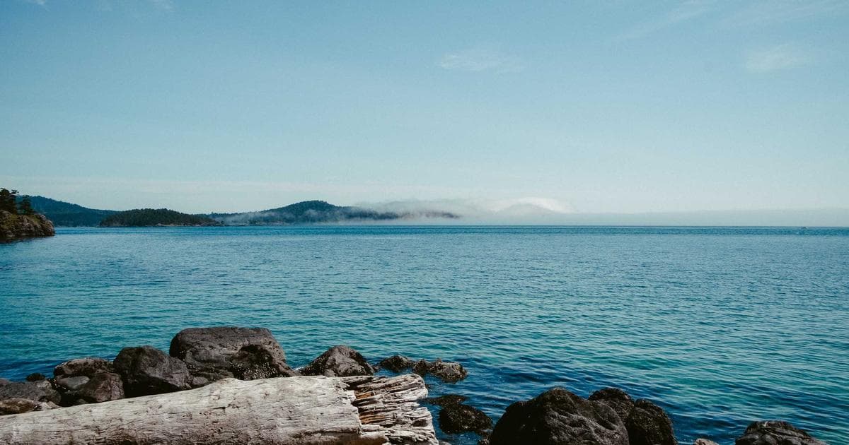 CSS 變數 Custom Properties 主題切換教學：從零打造亮色暗色模式