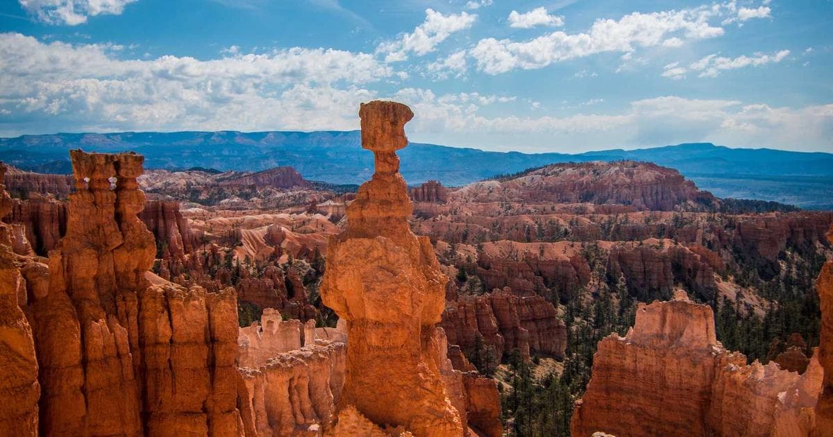 CSS Flexbox vs Grid 怎麼選？2026 前端佈局實戰比較完整指南