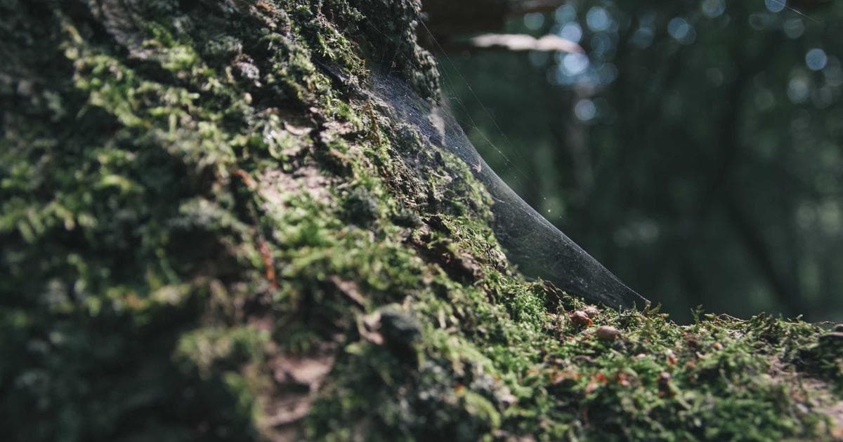 Design Handoff 完全指南：設計師與工程師高效協作的 7 個實踐