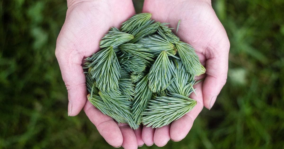 數位插畫配色指南：從色彩理論到 Procreate 實用配色技巧全攻略