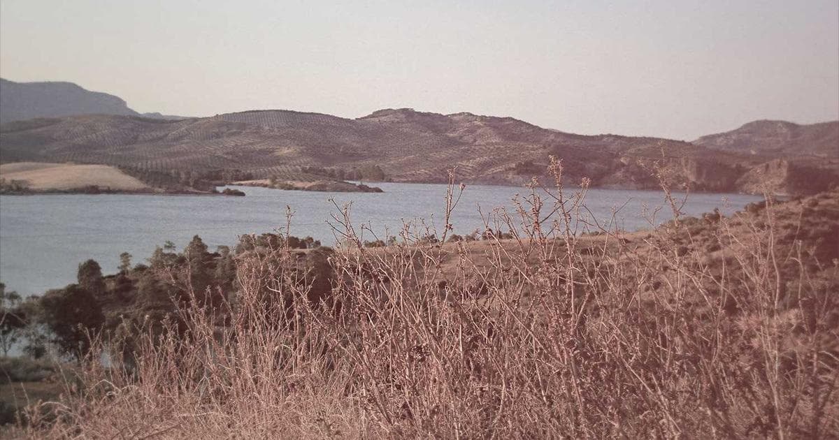 Figma Dev Mode 完整教學：設計師與工程師的高效交接指南