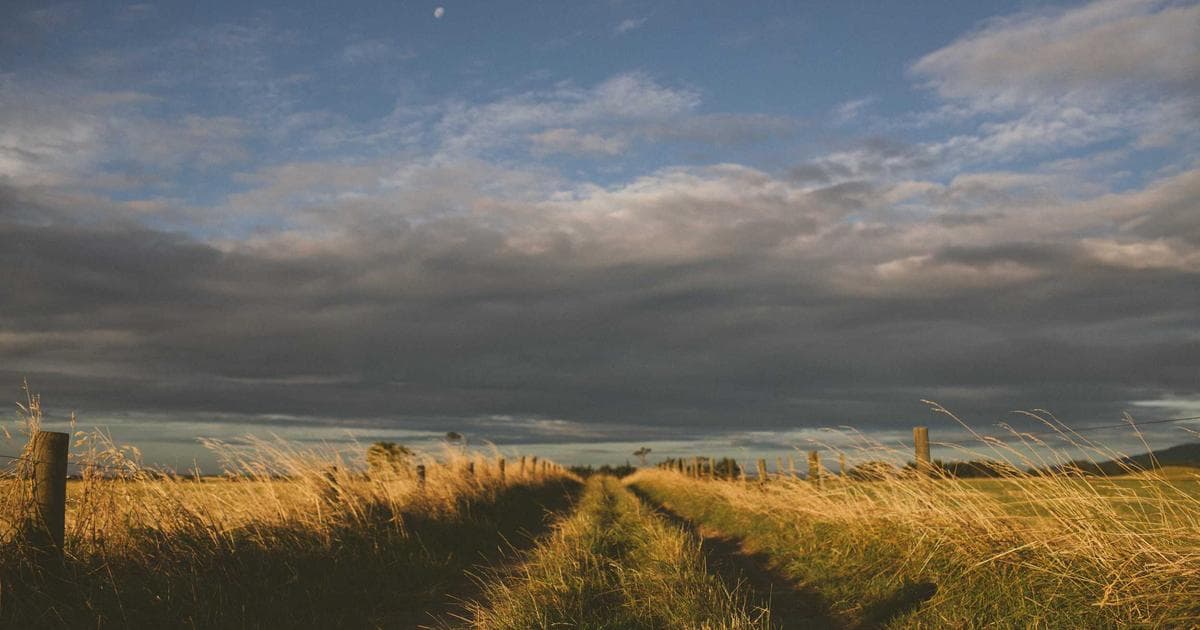 Figma Variables 與 Design Tokens 設計系統實戰教學（2026 完整指南）