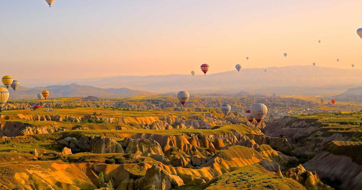 Google AI Overview 時代的 SEO 新策略：靠 Information Gain 搶佔 AI 引用