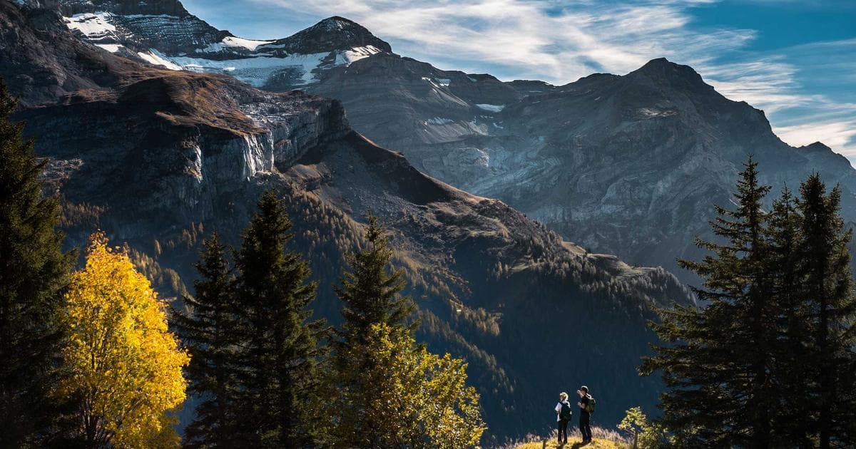 Illustrator 向量插畫教學：5 種扁平設計風格實作指南