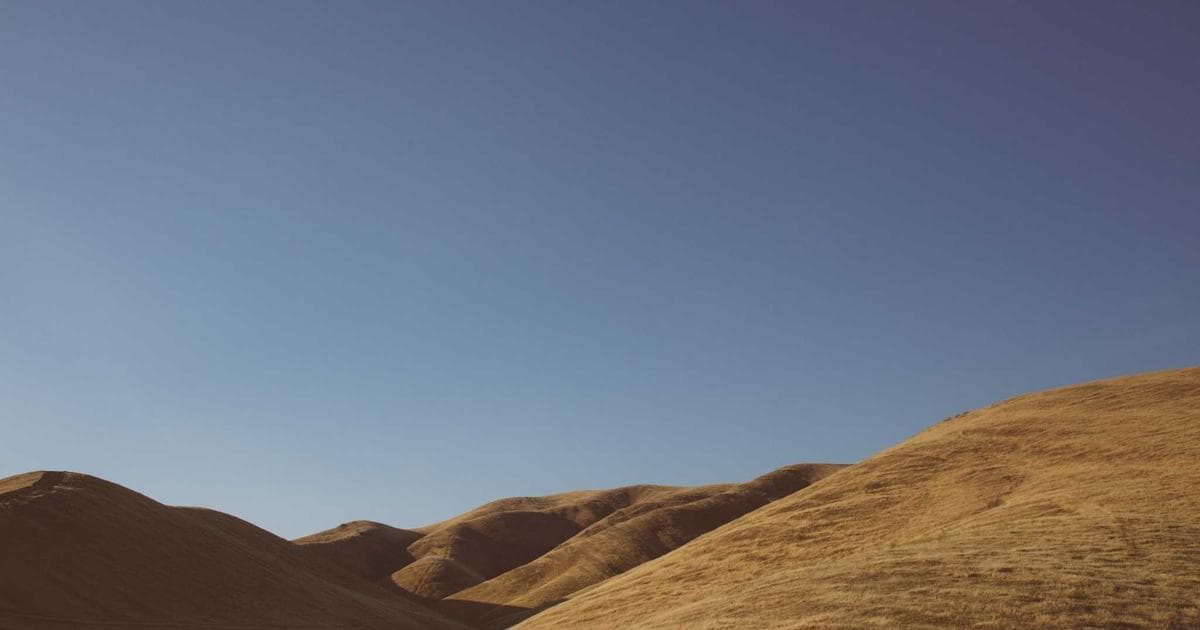 用 Midjourney 設計品牌 Logo：AI 標誌製作完整流程與 Prompt 技巧