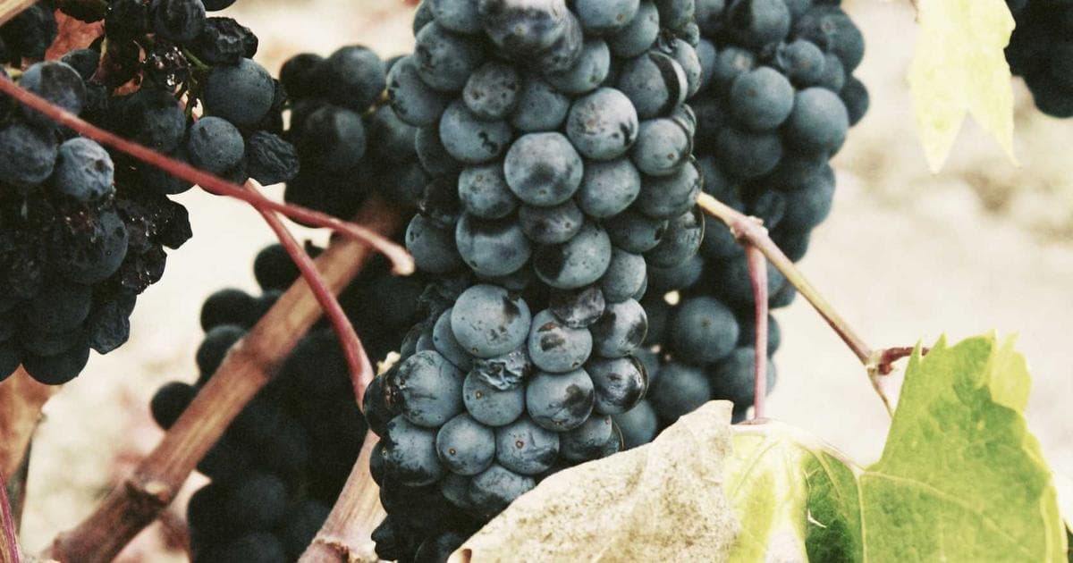 Next.js Middleware 完整教學：Edge Runtime、認證保護與路由重寫實戰指南