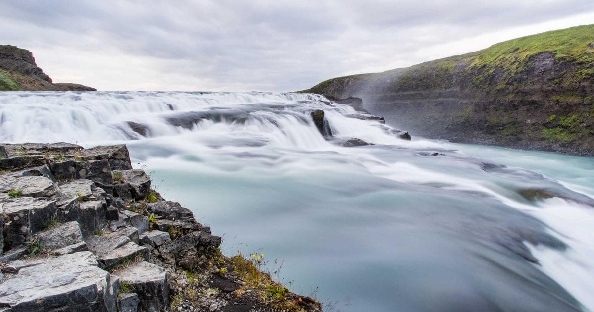 Procreate 動物角色插畫繪製完整教學：從骨架到毛髮的畫法全解析