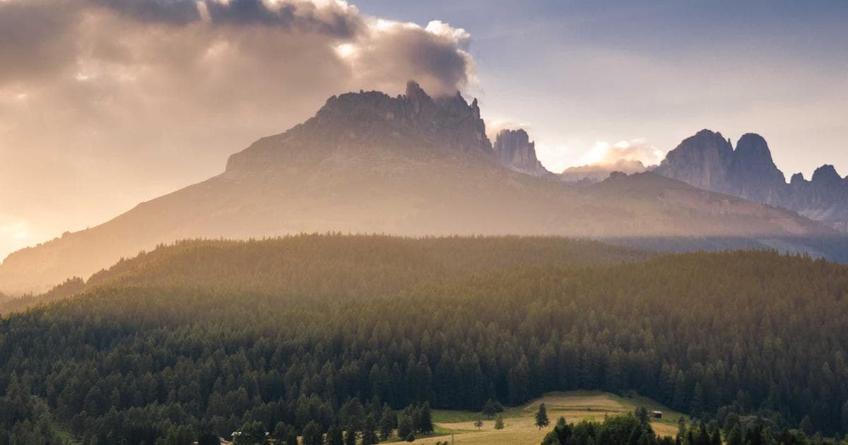 Procreate 人體比例與姿態繪製教學：從基礎骨架到動態速寫的完整指南