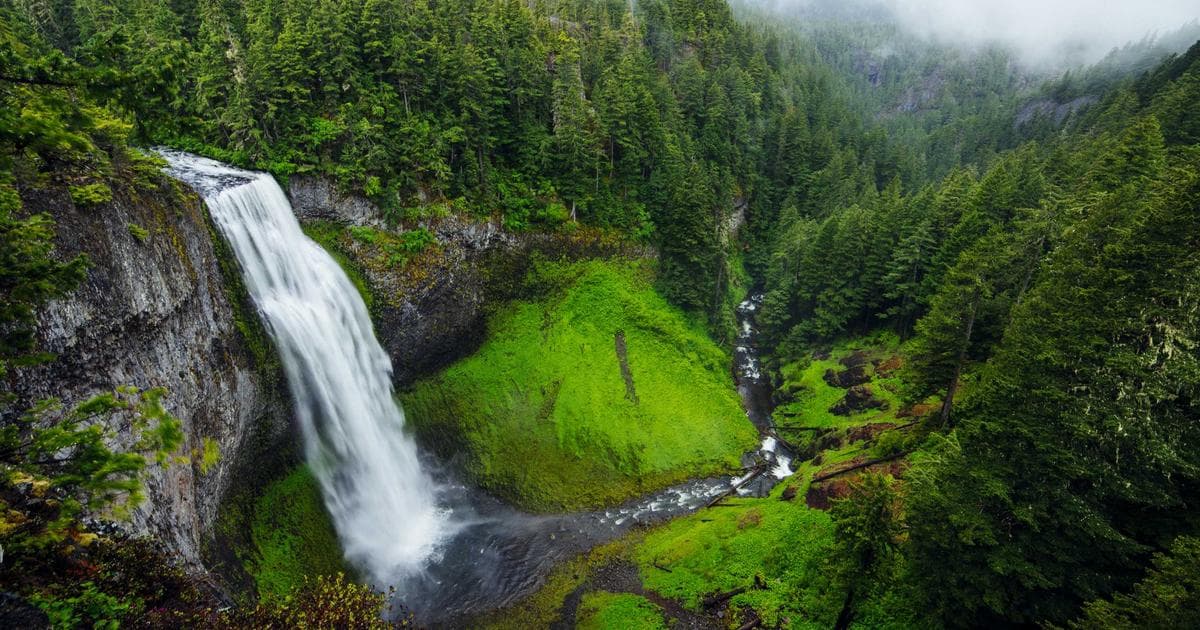 Procreate 線稿上色完整教學：從清線稿到完稿的數位插畫上色技巧全流程