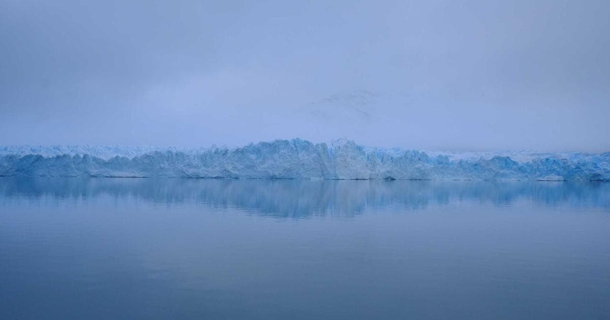 Procreate 似顏繪接案入門：從練習到接到第一張訂單的完整攻略