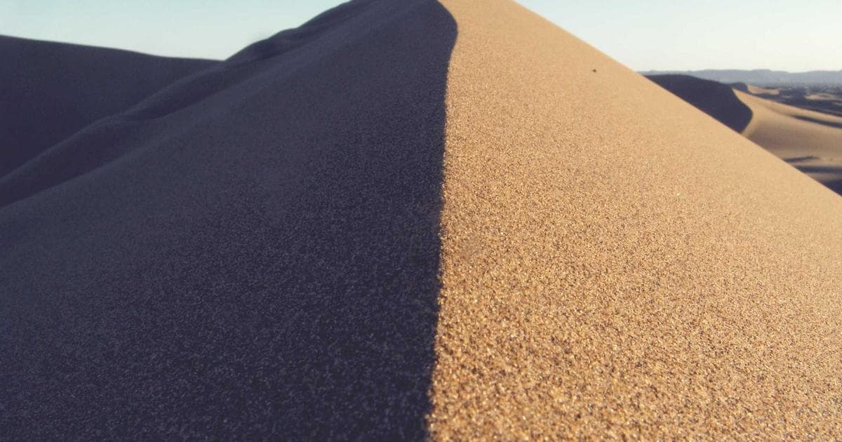 Python openpyxl Excel 自動化處理教學：告別重複的手動操作