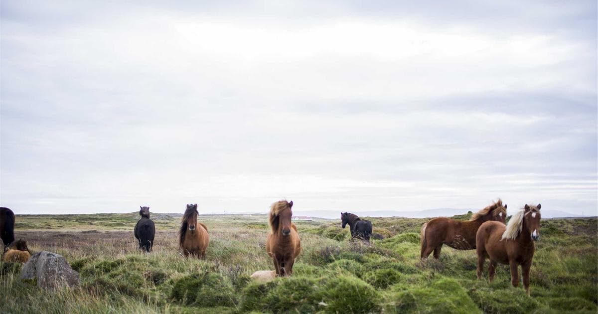 Python uv 專案管理完整教學：取代 pip 與 Poetry 的新一代開發工具