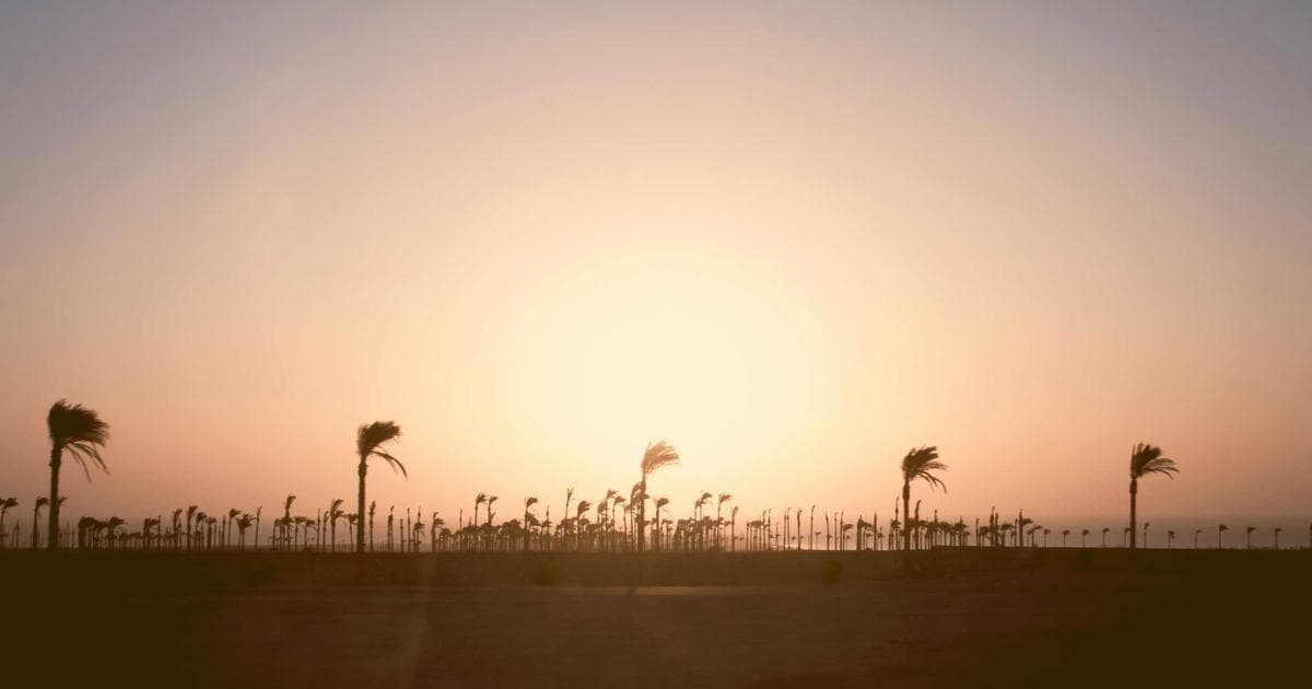 Python 虛擬環境教學：venv、virtualenv、conda 完整比較與實戰指南