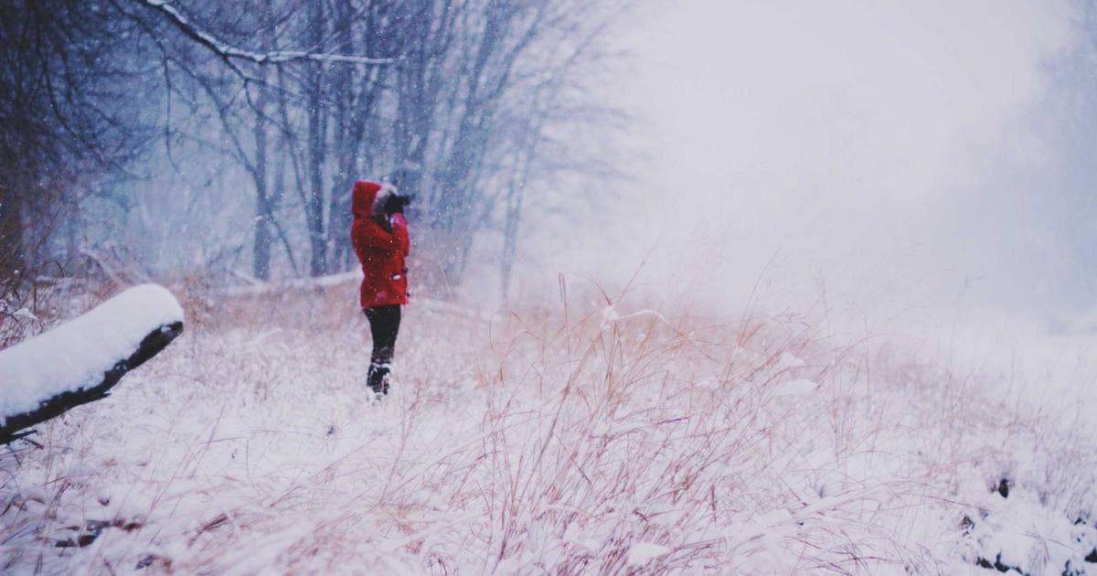 React 19 useOptimistic useFormStatus 表單處理完全指南：告別 useState 的繁瑣時代