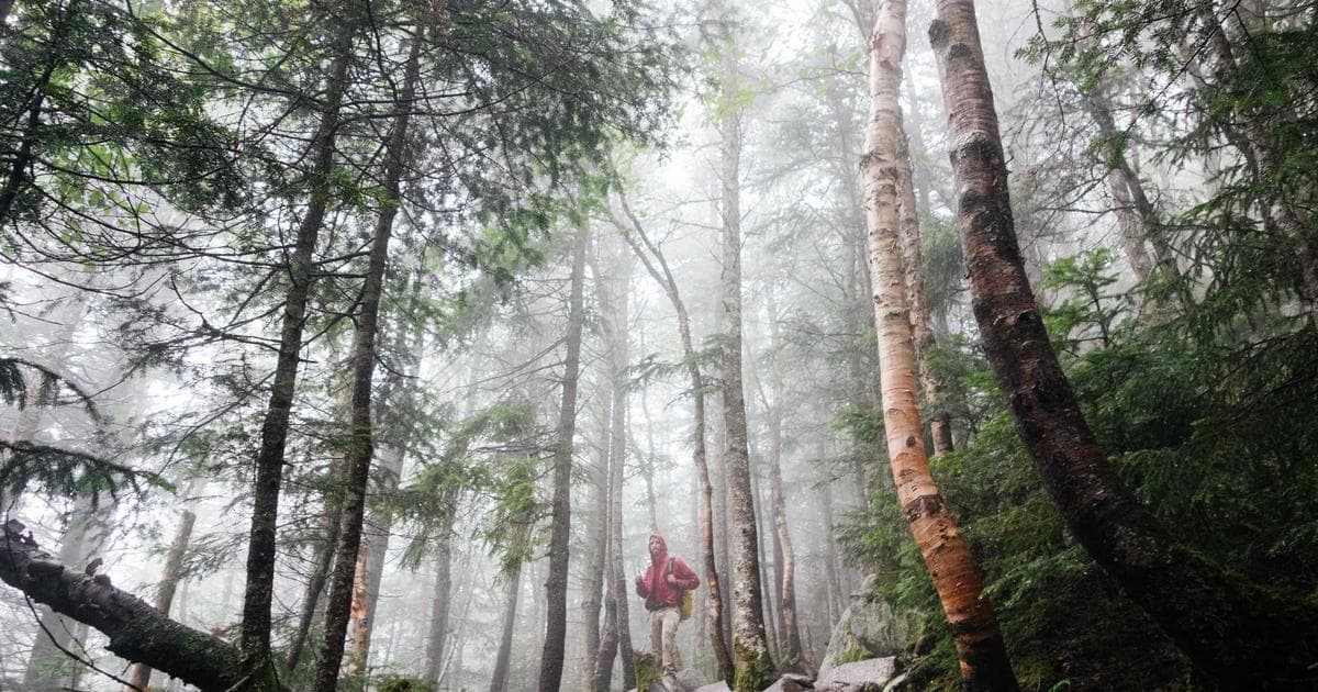 Rive 2 State Machine 互動動畫完整教學：用狀態機打造專業級動態介面