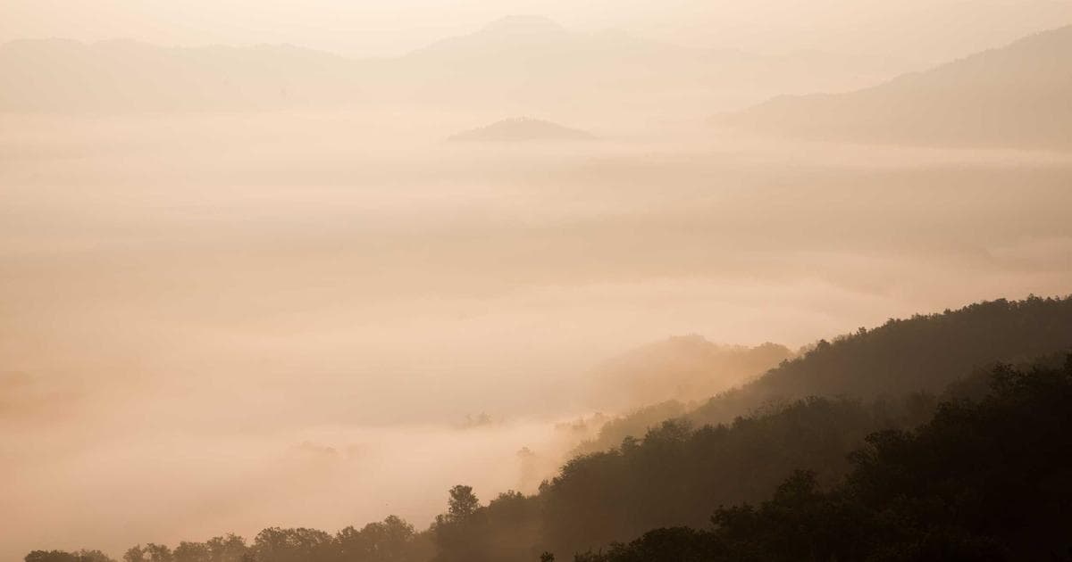 Scratch AI 機器學習入門：用 Teachable Machine 做手勢控制遊戲