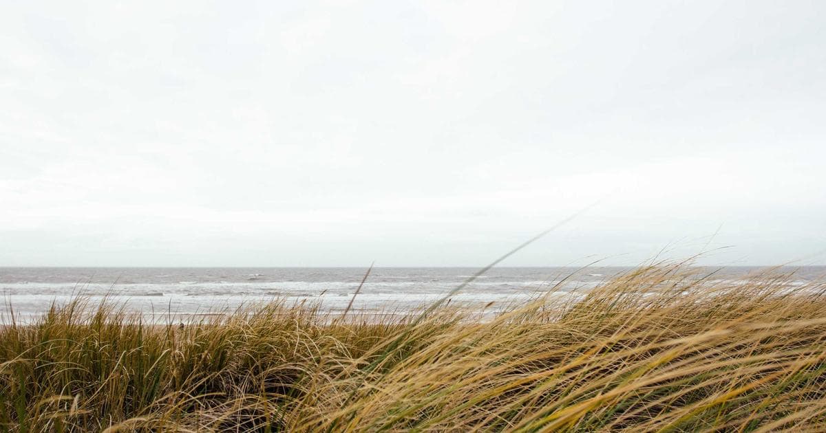 Scratch 動畫製作教學：讓你的角色動起來的完整指南