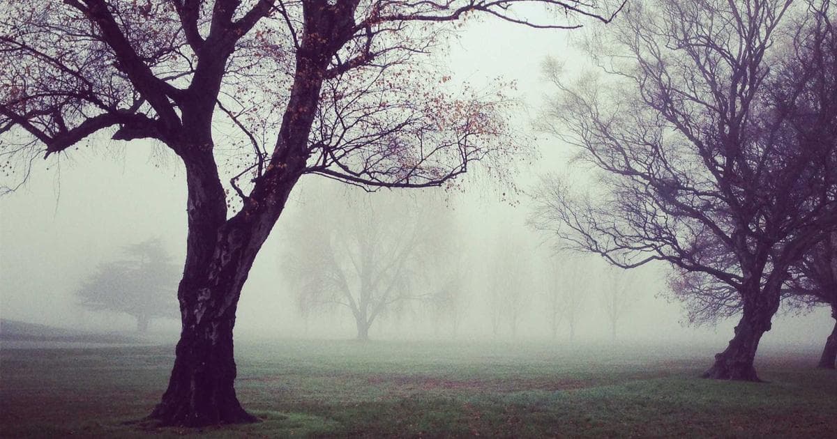 Scratch 接球遊戲製作教學：帶孩子從零開始做第一個小遊戲