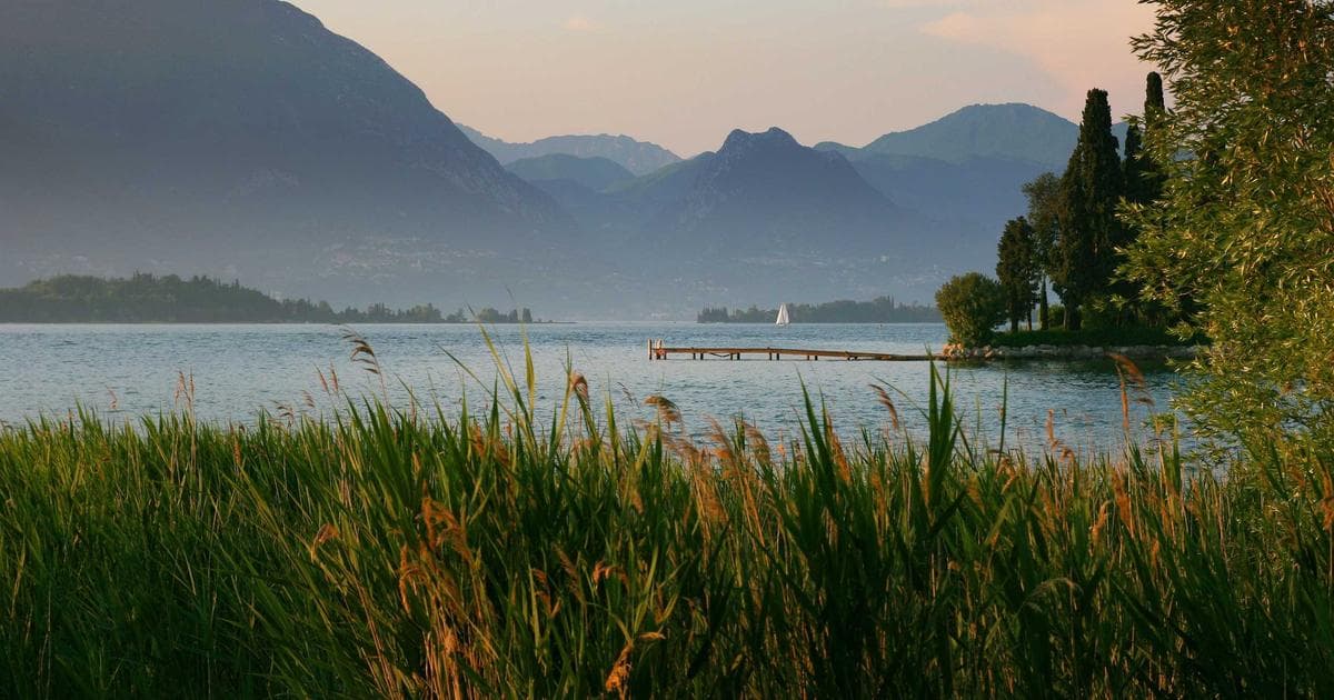 Scratch x Teachable Machine：帶孩子做出 AI 體感遊戲的完整教學