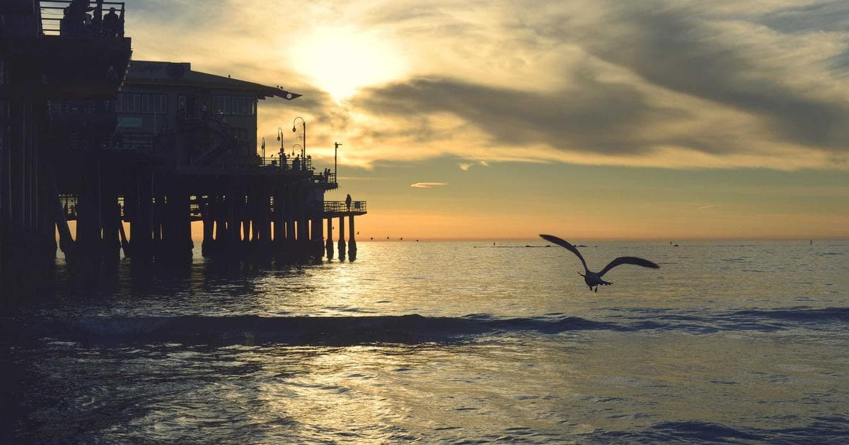 SVG 動畫完整教學：用 CSS 與 JavaScript 打造互動式向量動效