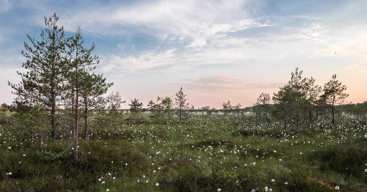 2026 台股主動式 ETF 比較推薦：新手入門完整攻略與精選標的