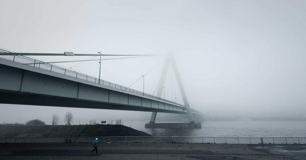 2026 台灣月配息 ETF 完整比較：00929、00939、00934 該怎麼選？