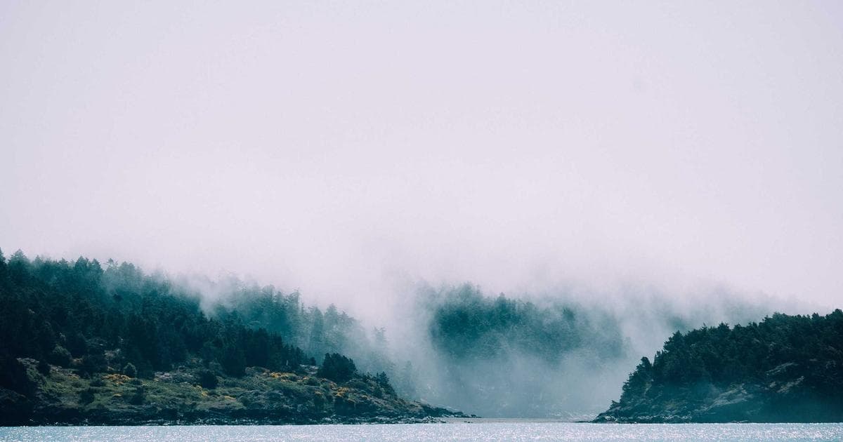 TanStack Query 完整教學：React 資料快取與伺服器狀態管理實戰指南