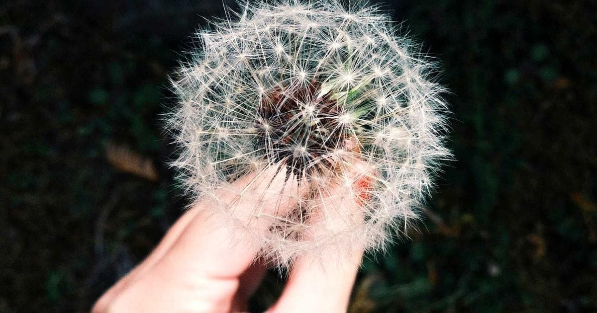 Threads 演算法 2026 完全解析：品牌經營策略與漲粉實戰教學