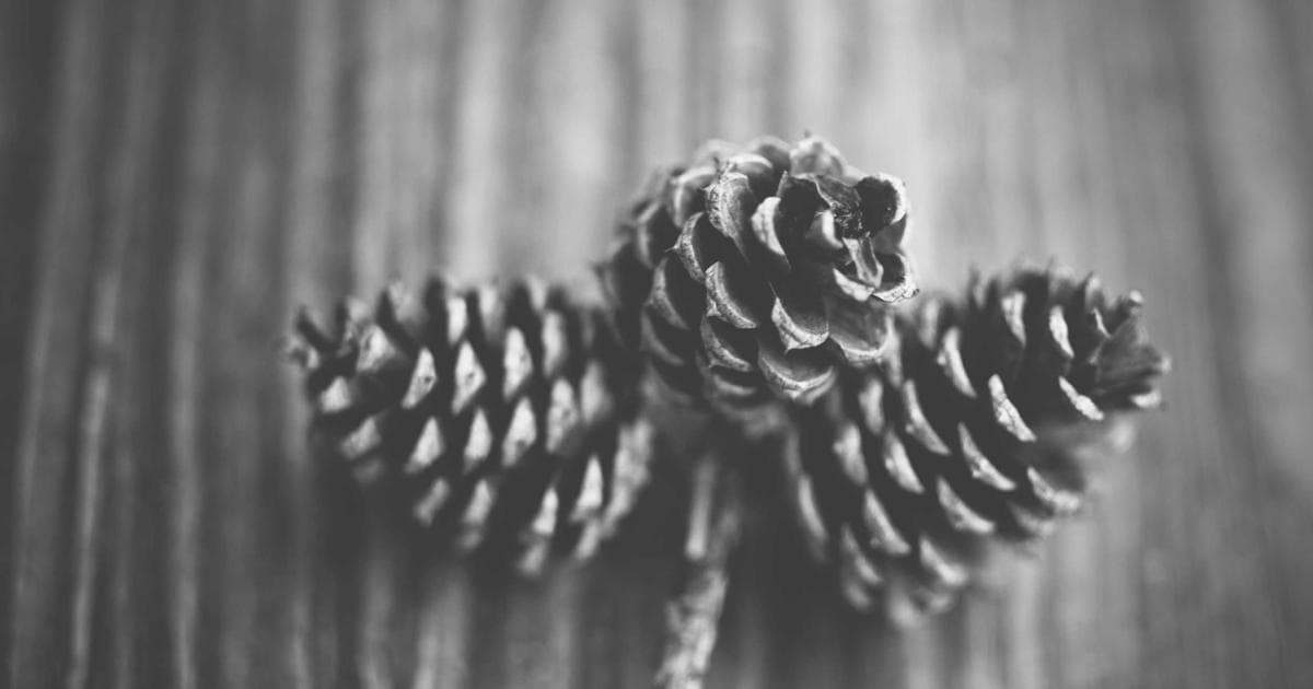 排版設計入門：留白、對齊與層次原則完全指南