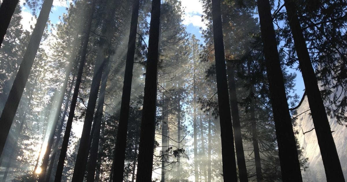 美股 ETF 入門：VOO、VTI、QQQ 怎麼選？一次搞懂三大 ETF 差異