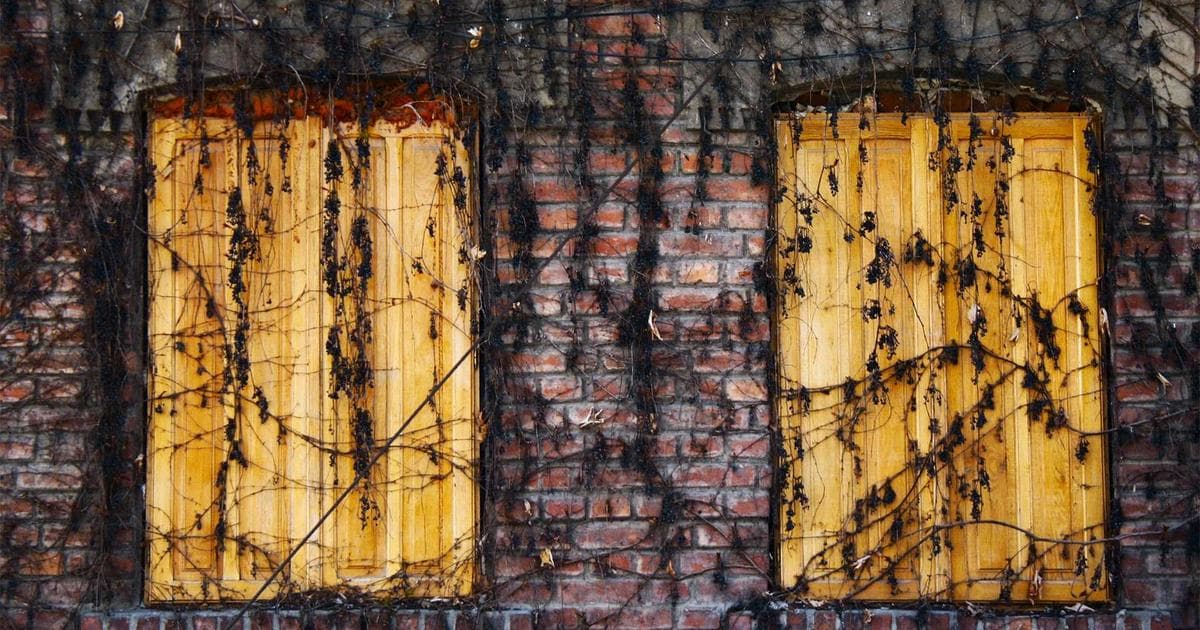 2026 美股開戶完整教學：海外券商 vs 複委託比較，台灣投資人開戶指南