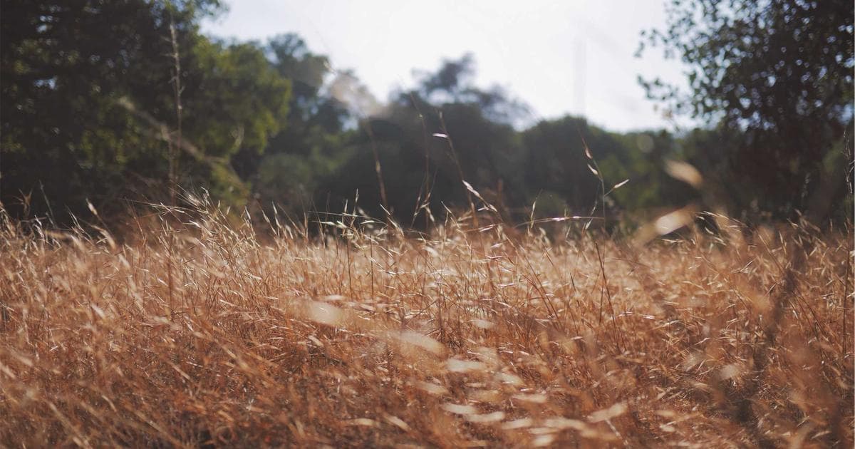 Vibe Coding 兒童 AI 程式教學：用自然語言寫程式，2026 最夯入門方式