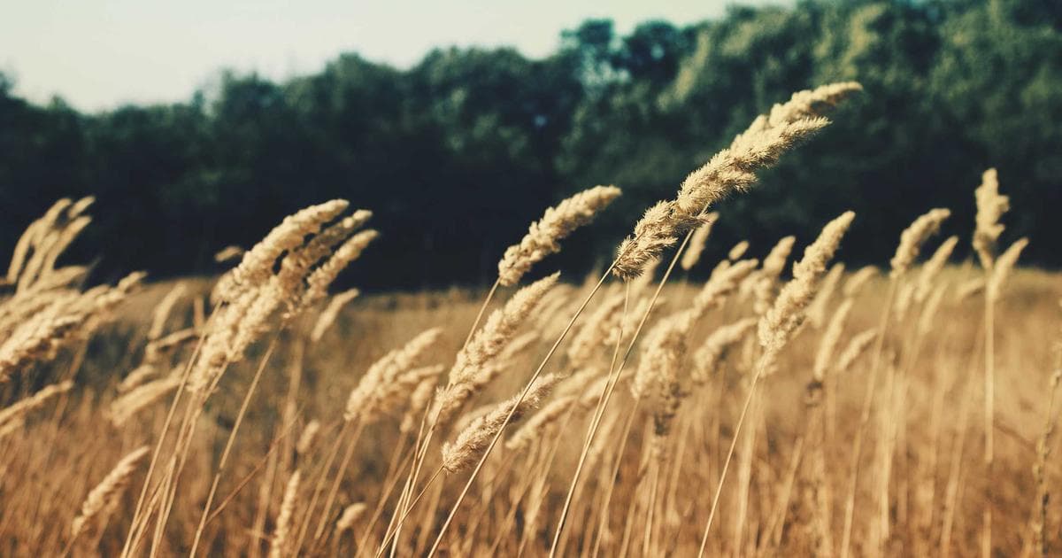 Vitest 單元測試 React 組件完整教學：從設定到實戰的測試指南